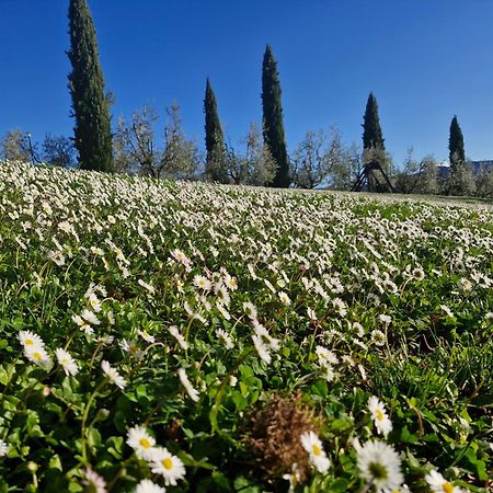 Agriturismo Val Della Pieve Anghiari Eksteriør bilde