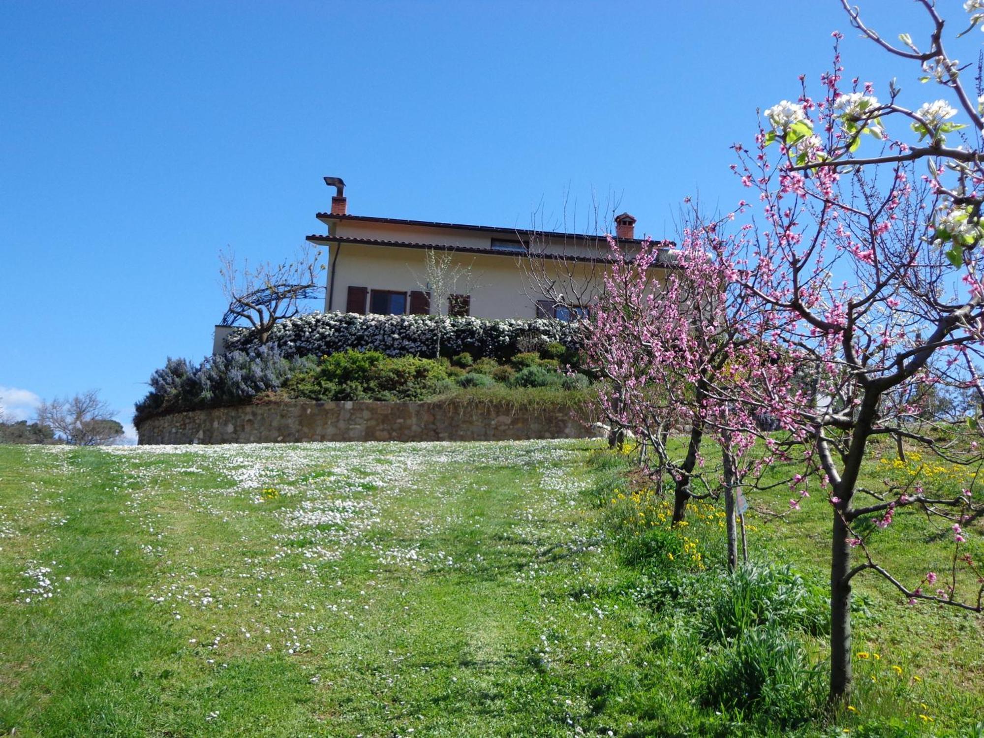 Agriturismo Val Della Pieve Anghiari Eksteriør bilde