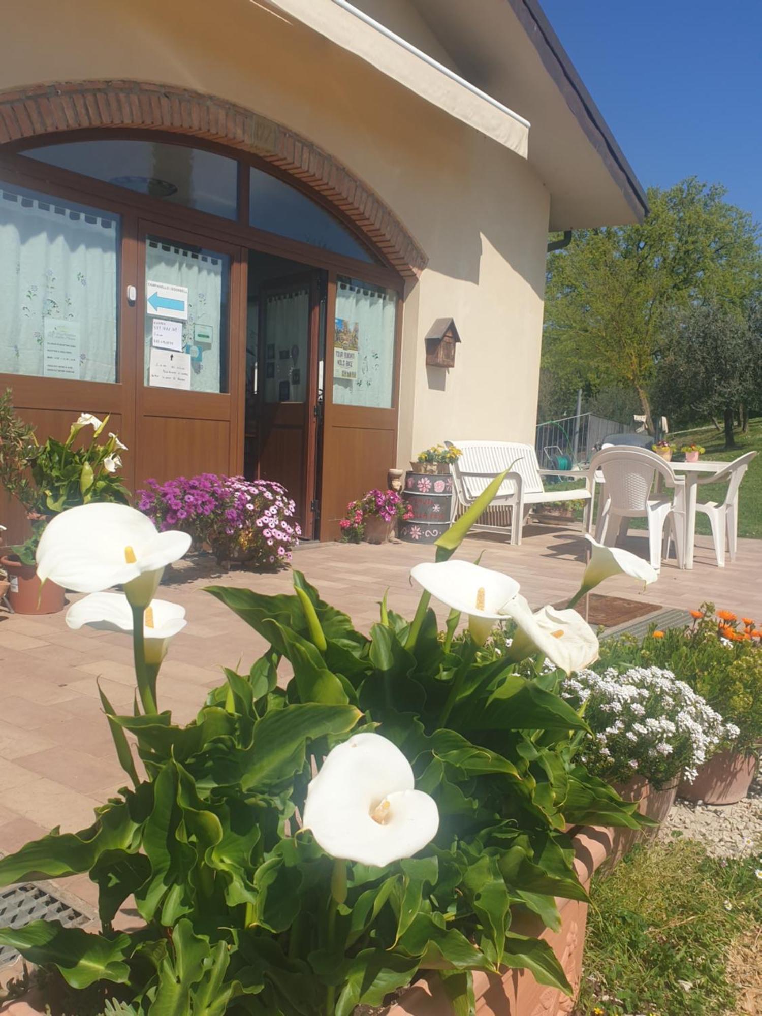 Agriturismo Val Della Pieve Anghiari Eksteriør bilde