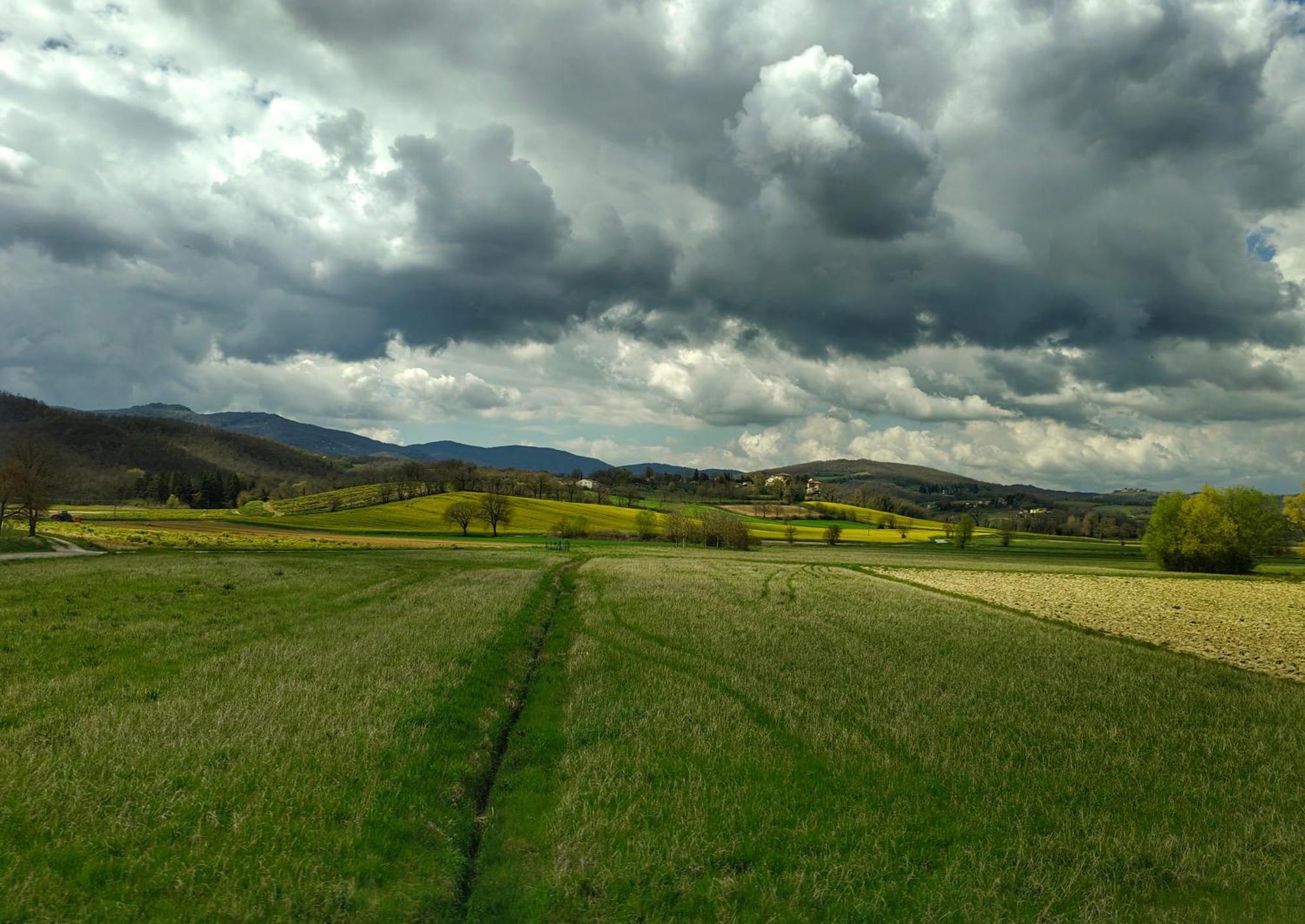Agriturismo Val Della Pieve Anghiari Eksteriør bilde